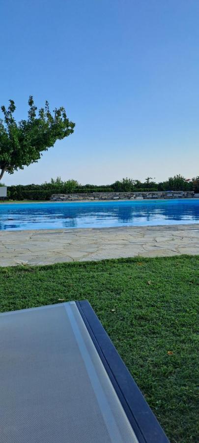 פליאוחורה Viena Rooms & Apartments מראה חיצוני תמונה