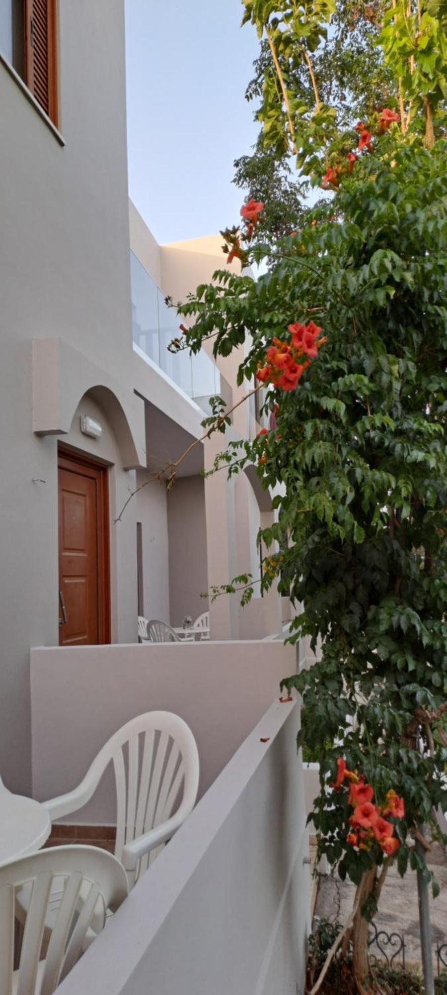 פליאוחורה Viena Rooms & Apartments מראה חיצוני תמונה