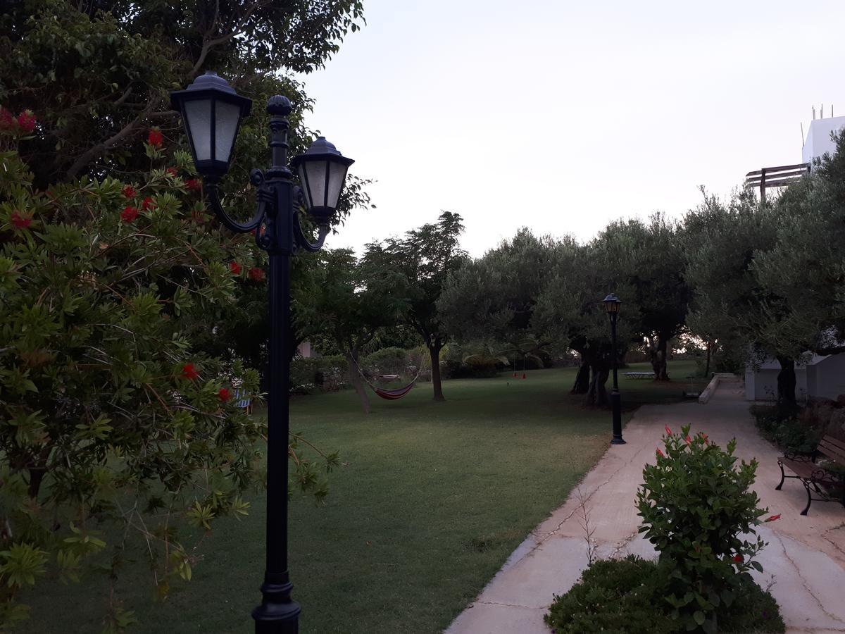 פליאוחורה Viena Rooms & Apartments מראה חיצוני תמונה