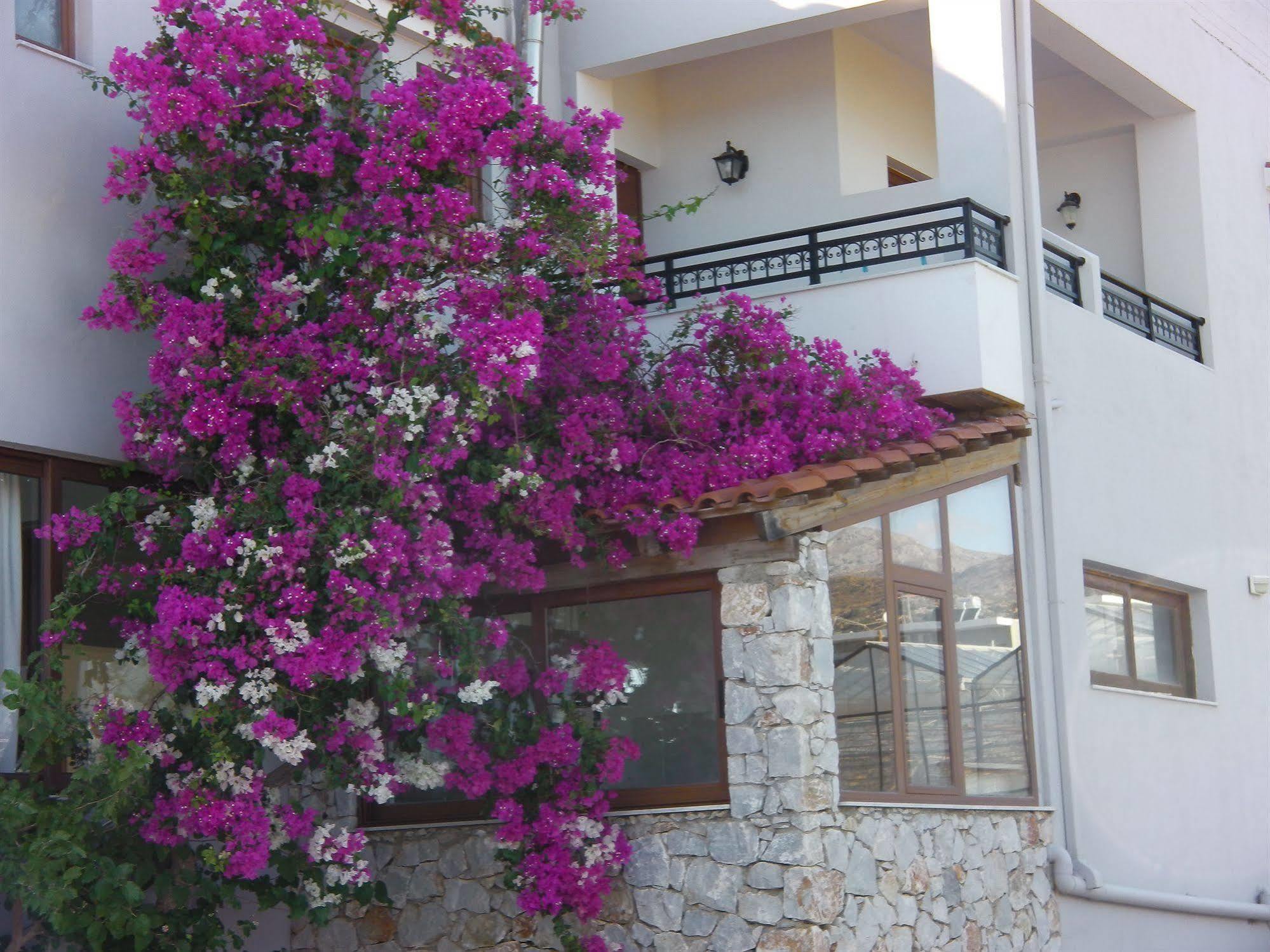 פליאוחורה Viena Rooms & Apartments מראה חיצוני תמונה